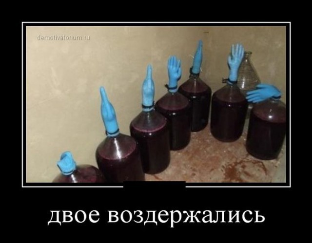 ТОП лучших демотиваторов