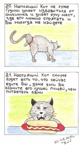 Прикольные комиксы про котов