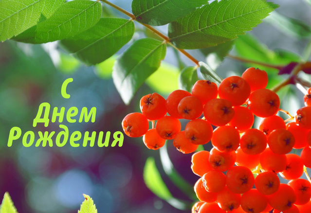 Теплого дня рождения