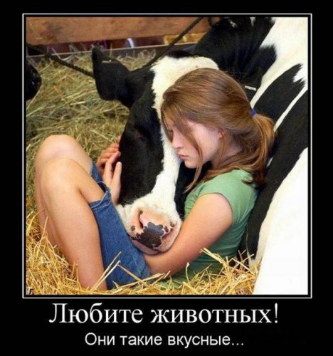 Демотиваторы с юмором