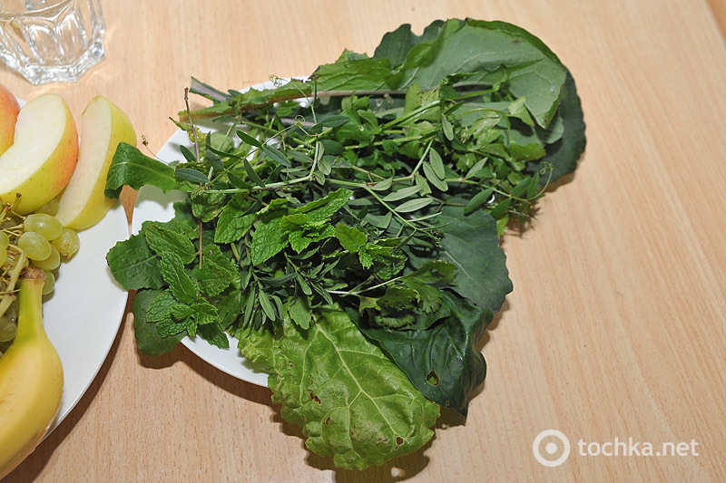 Майстер-клас: Зелені коктейлі