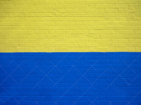 Украинский флаг