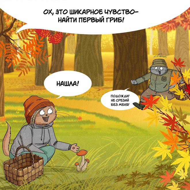 Почему я люблю осень