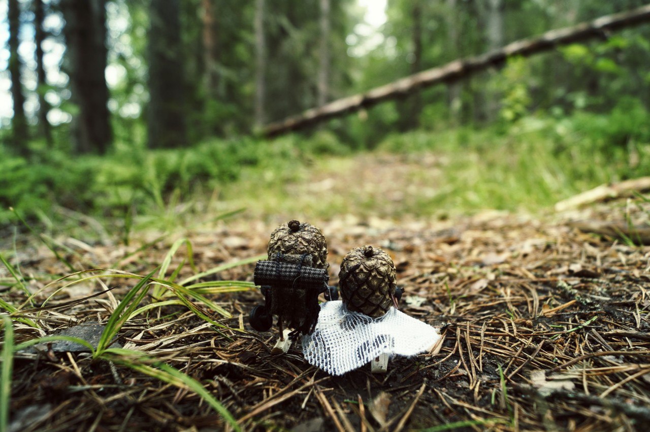 #ПутешествиеСосновойШишки часть 6