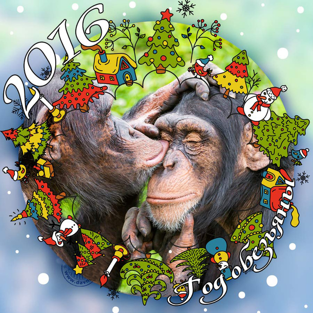 Красивые новогодние открытки 2016 на год обезьяны