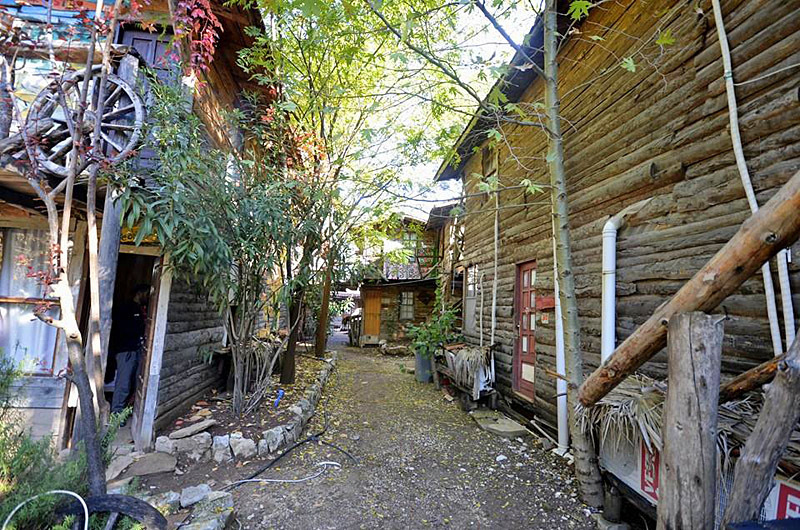 Kadir’s Tree House - Олимпос, Турция