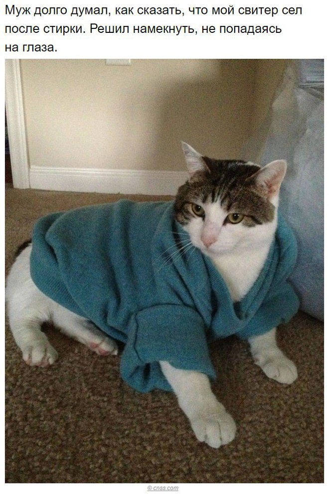 Настоящие мужчины существуют!