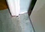 моральные издержки съемной квартиры
