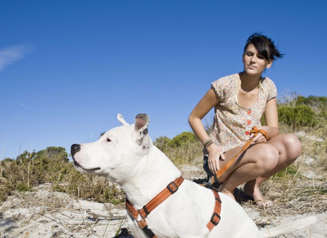 На Кипре создадут специальный пляж для собак
