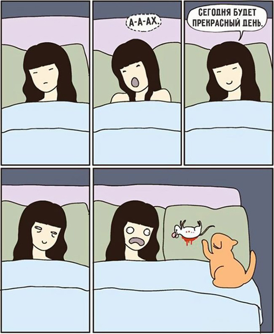 Забавные комиксы с котами