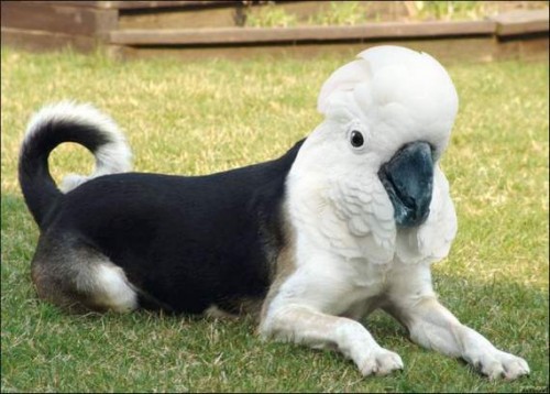 Последствия Чернобыля