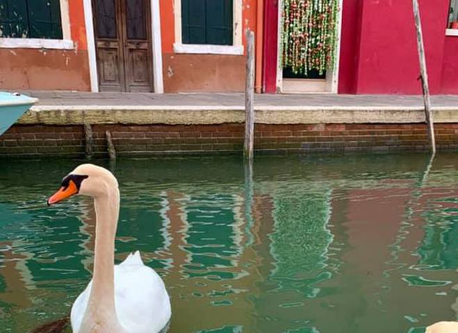 Венеция чистые каналы