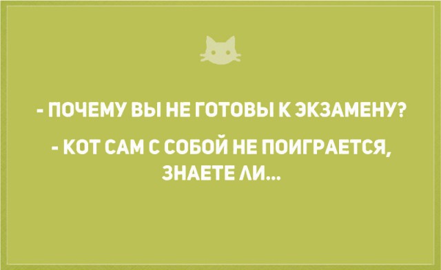 Без кота и жизнь не та