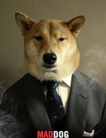 Menswear Dog Menswear Dog