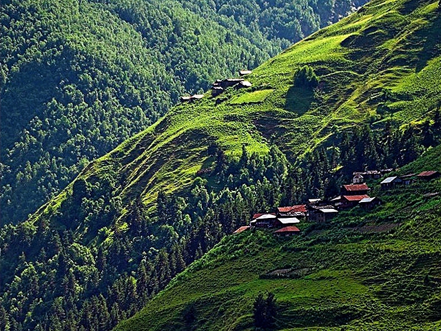 Народ грузии фото