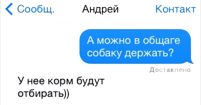 Смс переписки про студенческую жизнь
