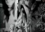 Evanescence - My Immortal