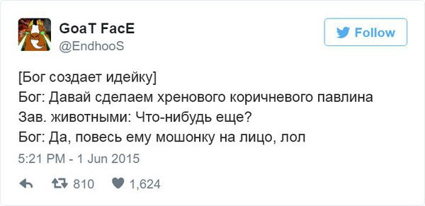 Как Бог создавал планету существами