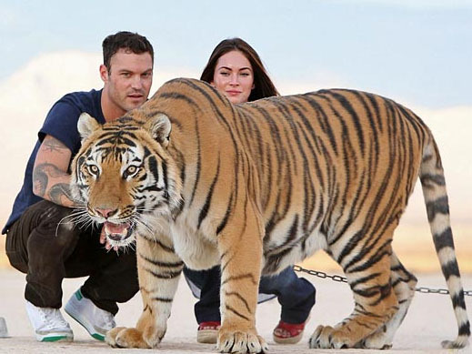 Меган Фокс, Брайан Остин Грин