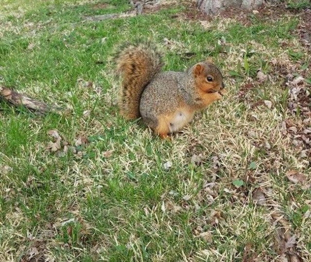 В ожидании чуда