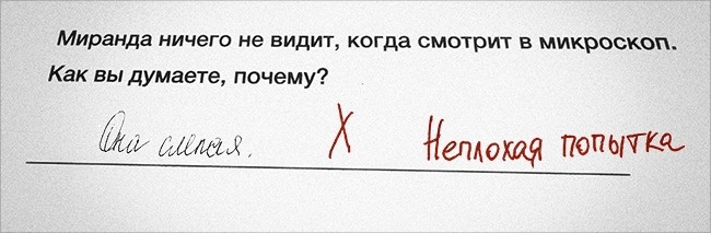 Креативщики на экзамене