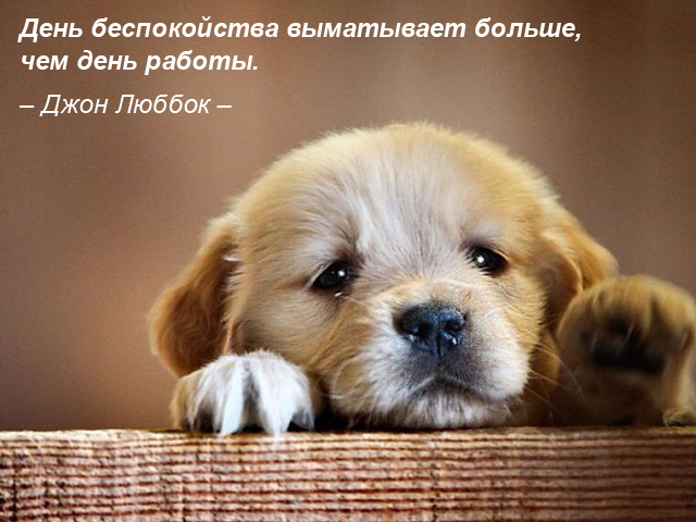 Мотивирующие картинки
