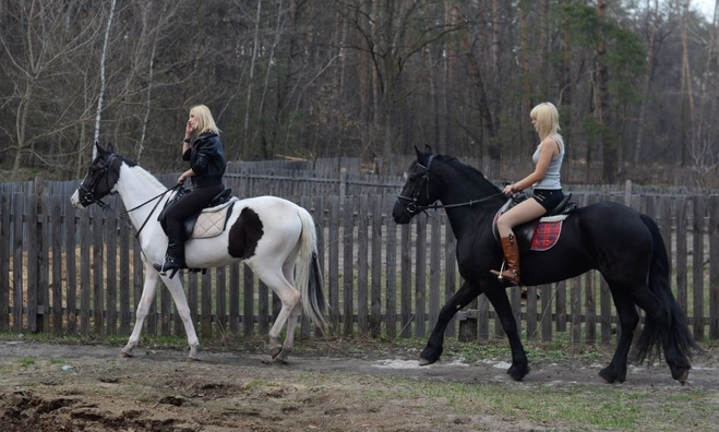 Где покататься на лошадях в Киеве