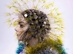 Bjork “Mouth Mantra”