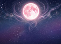 Рожевий повний місяць у квітні 2026 року: доленосний поворот для трьох знаків Зодіаку