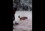 Весёлый снежный душ)