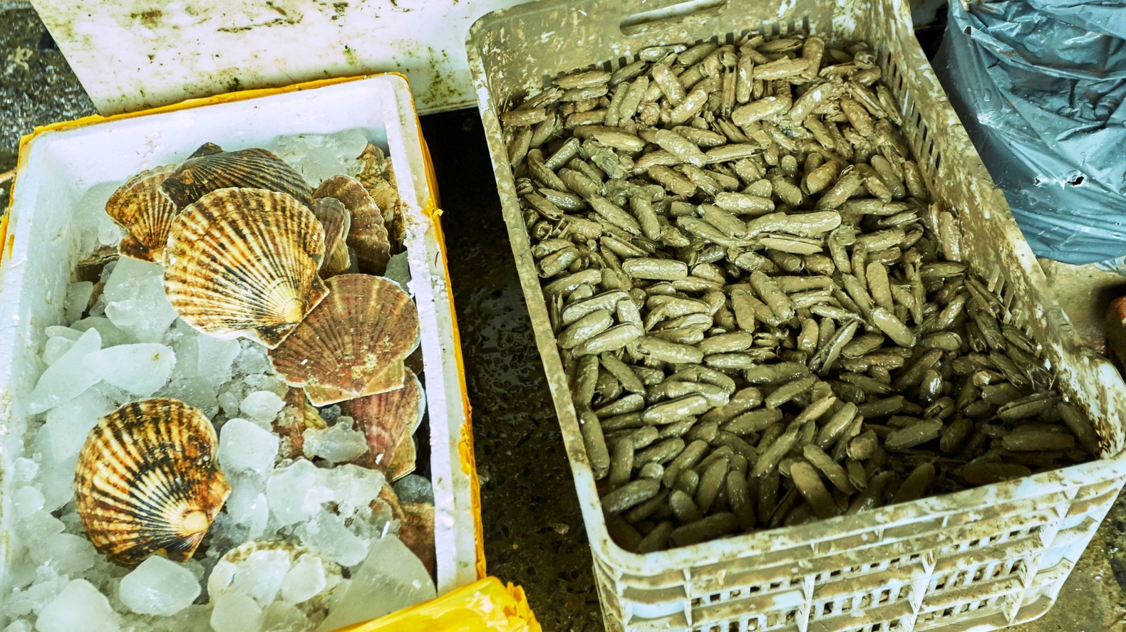 Інший Всесвіт очима популярного фотографа Андрія Саримсакова. Шанхай
