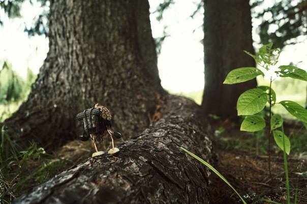 #ПутешествиеСосновойШишки часть 4