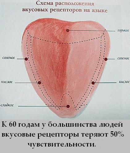 Топ интересных фактов