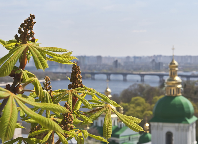 Візитівки Києва