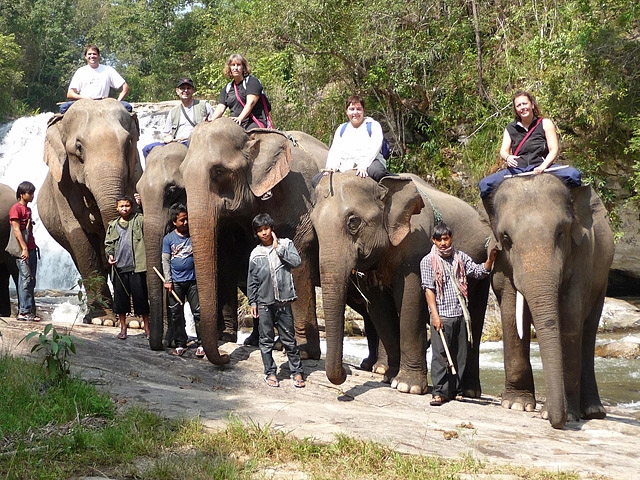 8 найбільш незвичайних видів транспорту: Таксі зі слонів, Індія