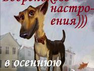Бодренького настроения в осеннюю погоду