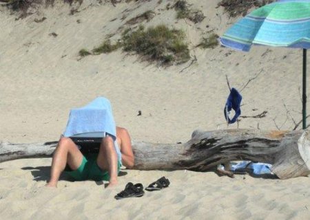 С Днем Админа!