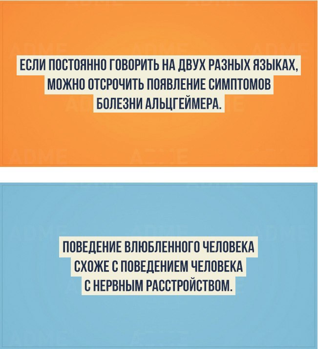 20 интересных фактов о человеке и его природе