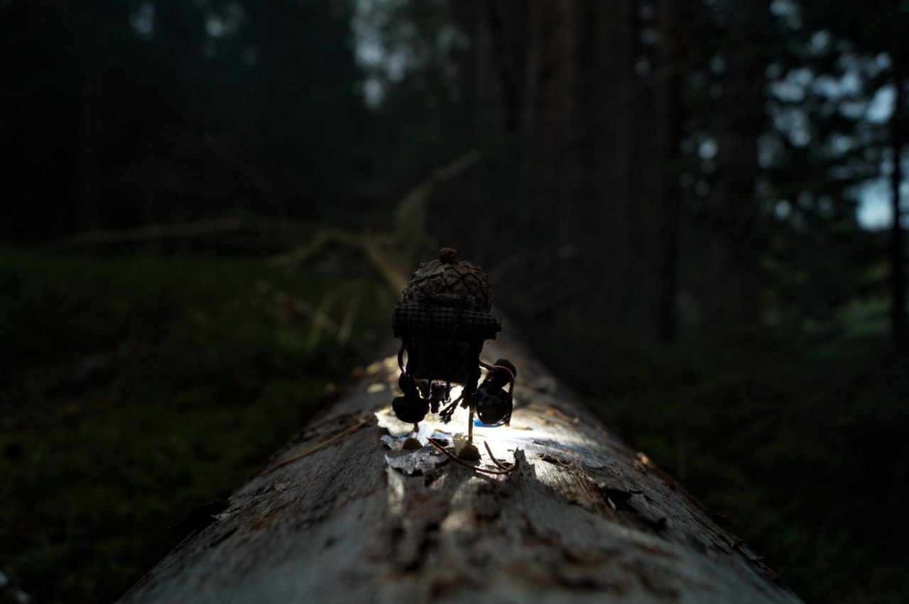 #ПутешествиеСосновойШишки часть 3