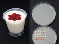 Йогурт врятує від стресу