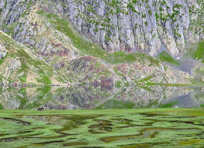 National Geographic опубликовал снимки природы для конкурса The Nature Photographer of The Year