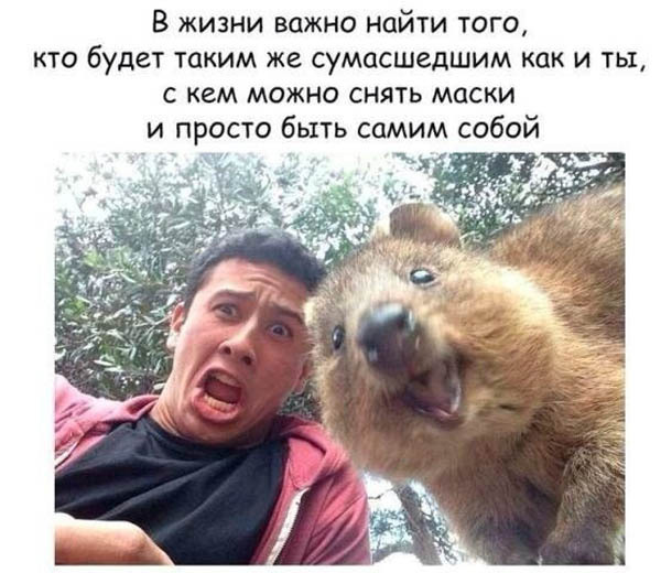 Подборка со смыслом