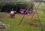Тупая овечка)))    