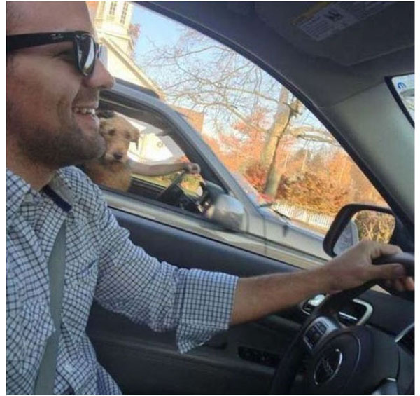 Ах, нет... показалось