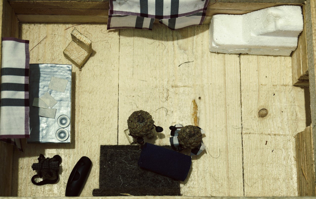 #ПриключениеСосновойШишки часть 9