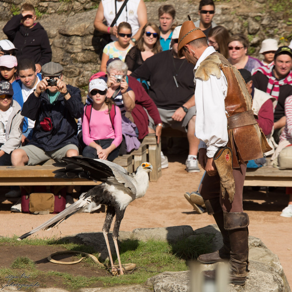 Бал птиц Фантомов (Le Bal des Oiseaux Fantômes)