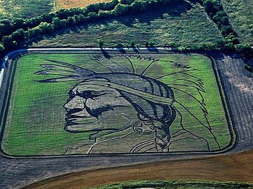 Самые большие картины в мире, нарисованные на полях