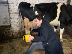 PIANOБОЙ стал дояром коровы в селе под Киевом