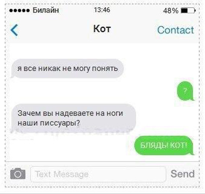 Смс переписки от кота