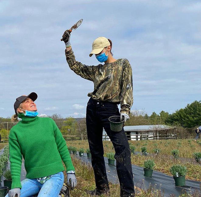 Белла Хадид показала, как сажает лаванду на карантине